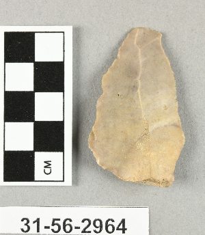 31-56-2964