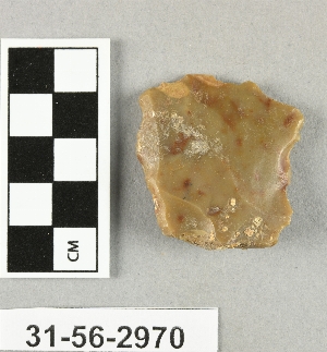 31-56-2970