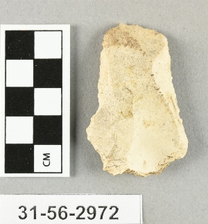 31-56-2972