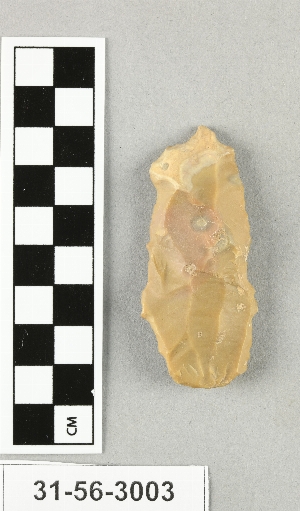 31-56-3003