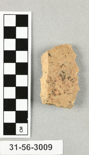 31-56-3009