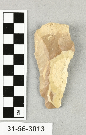 31-56-3013