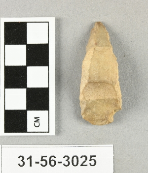 31-56-3025
