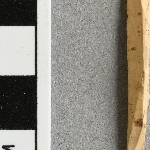 949321
