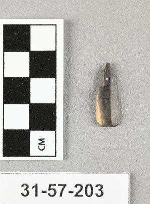 31-57-203