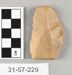 31-57-229