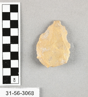 31-56-3068