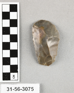 31-56-3075