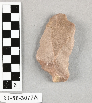 31-56-3077B