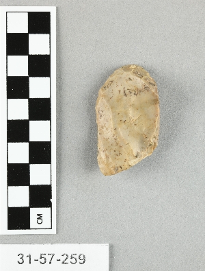 31-57-259