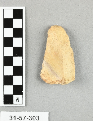 31-57-303