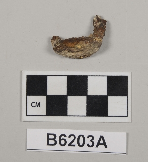 B6203A