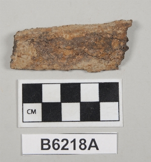 B6218A