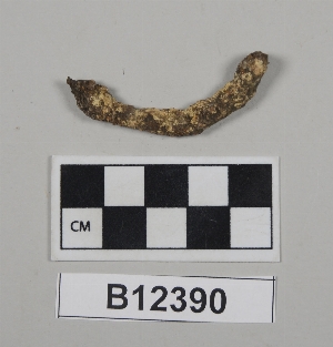 B12390