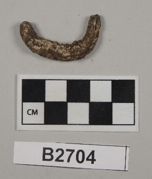 B2704