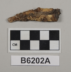 B6202A