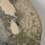 950231