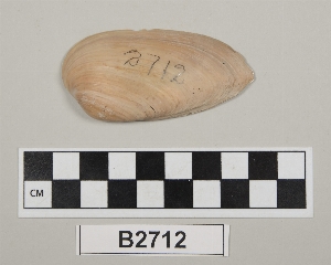 B2712