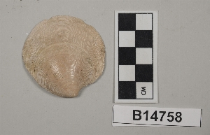B14758
