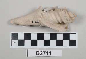 B2711