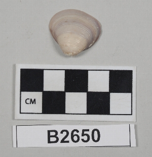 B2650