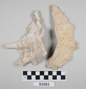 B2583