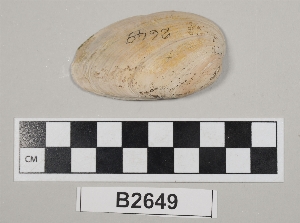 B2649