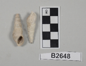 B2648