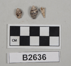 B2636