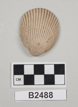 B2488