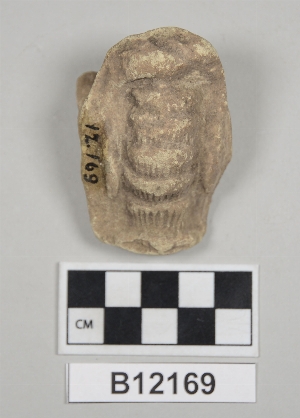 B12169