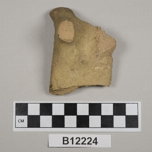 B12224