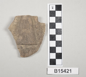 B15421