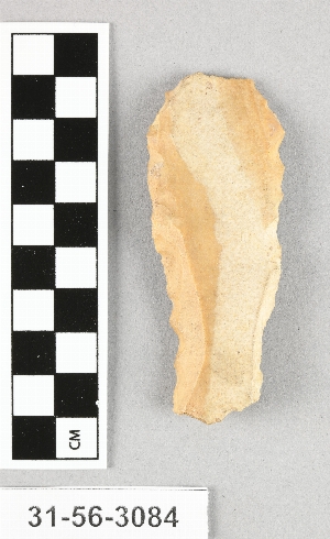 31-56-3084