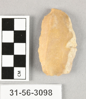 31-56-3098