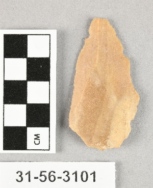 31-56-3101