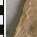 950508