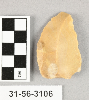 31-56-3106