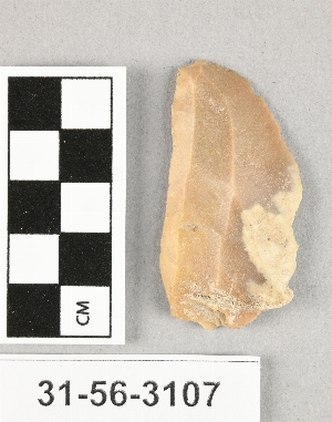 31-56-3107