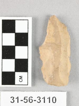 31-56-3110