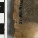 950561