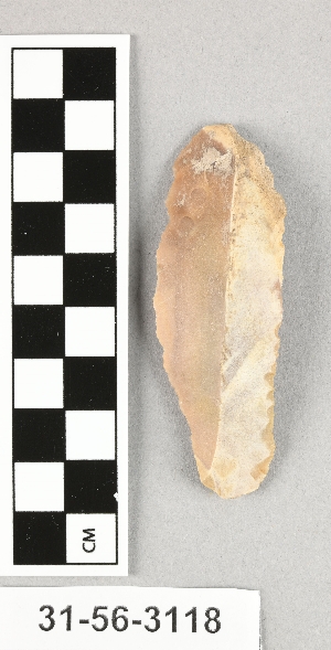 31-56-3118