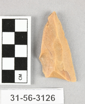 31-56-3126