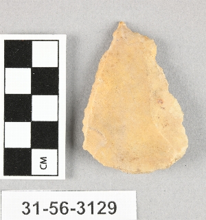 31-56-3129