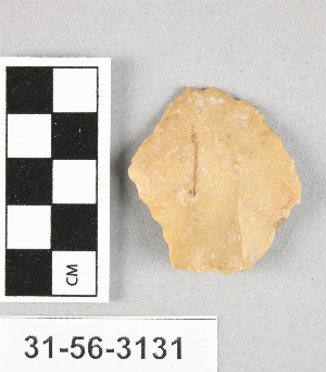 31-56-3131