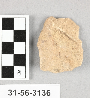 31-56-3136