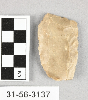 31-56-3137