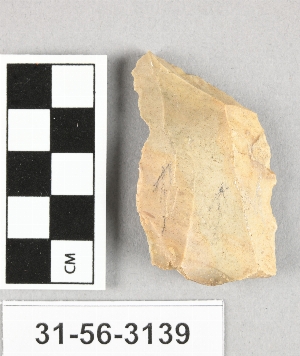 31-56-3139