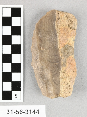 31-56-3144