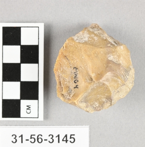 31-56-3145